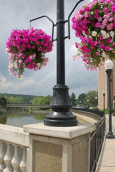 Signs of Beautification - hanging planters brighten the streetscape