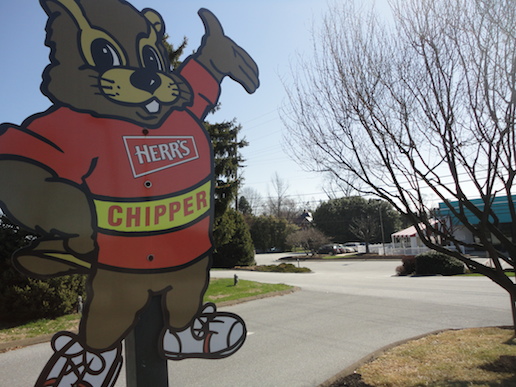 Chipper welcomes guests to Herr's