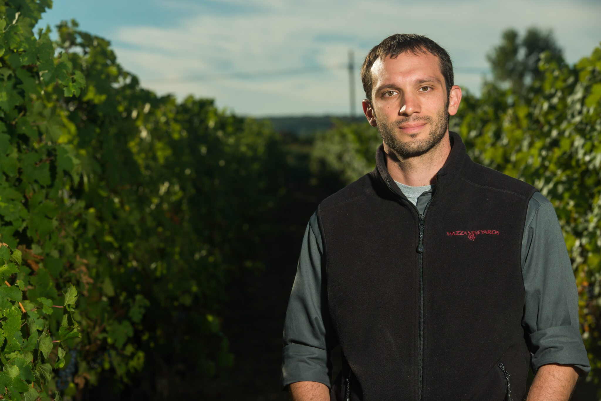 These grapes are the Pennsylvania wine industry's next big thing ...